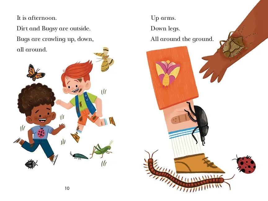 Bug Catchers US - Paperback / softback