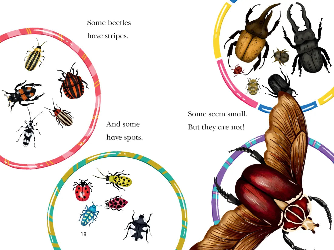 Beetle Mania US - Paperback / softback