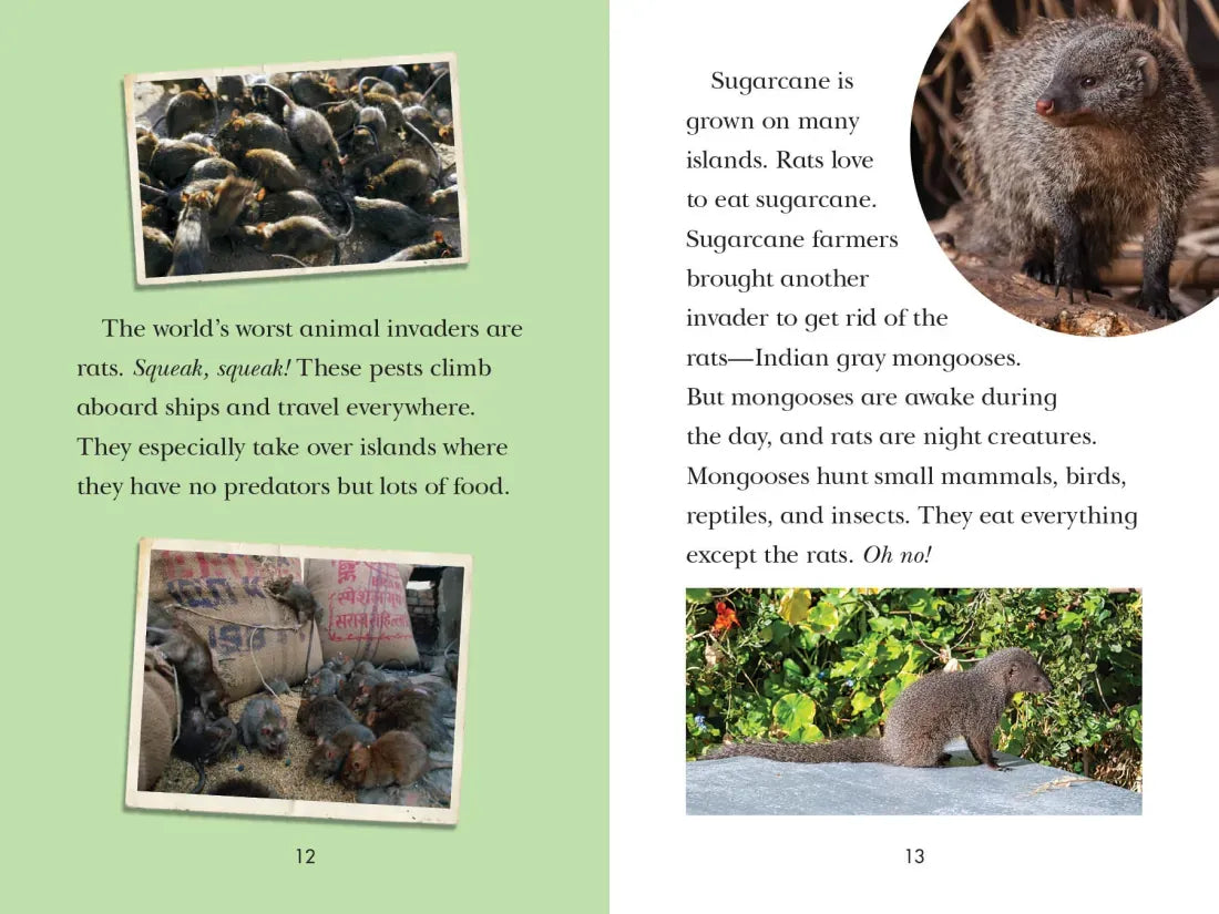 Animal Invaders US - Paperback / softback
