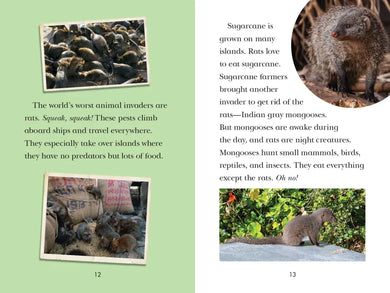 Animal Invaders US - Paperback / softback
