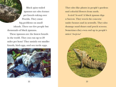 Animal Invaders US - Paperback / softback