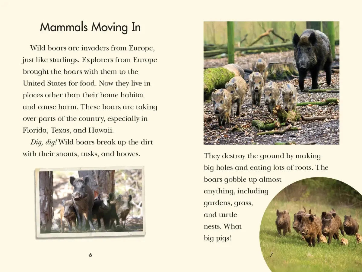 Animal Invaders US - Hardback