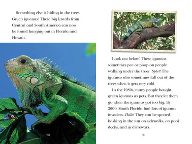 Animal Invaders US - Hardback