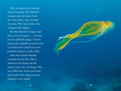 Octopus! US - Paperback / softback