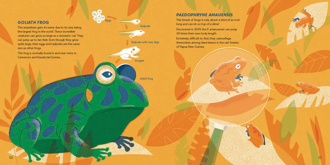 Amazing Animals Around the World US - Hardback