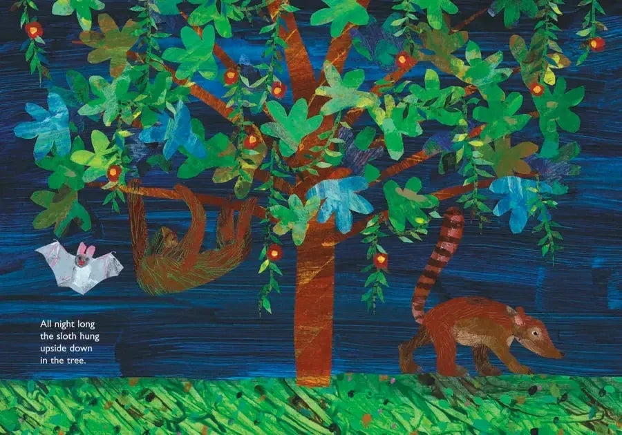 "Slowly, Slowly, Slowly," Said the Sloth US - Board book