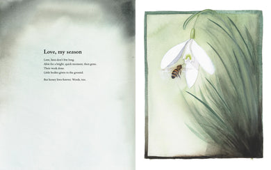 The Poet and the Bees US - Hardback