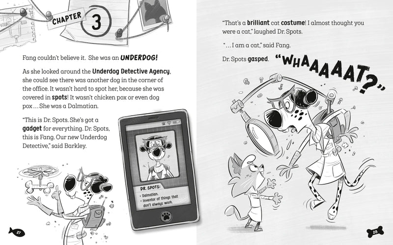 The Underdogs Catch a Cat Burglar US - Paperback / softback