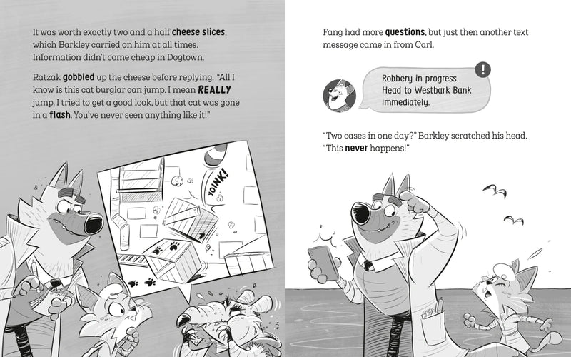 The Underdogs Catch a Cat Burglar US - Paperback / softback