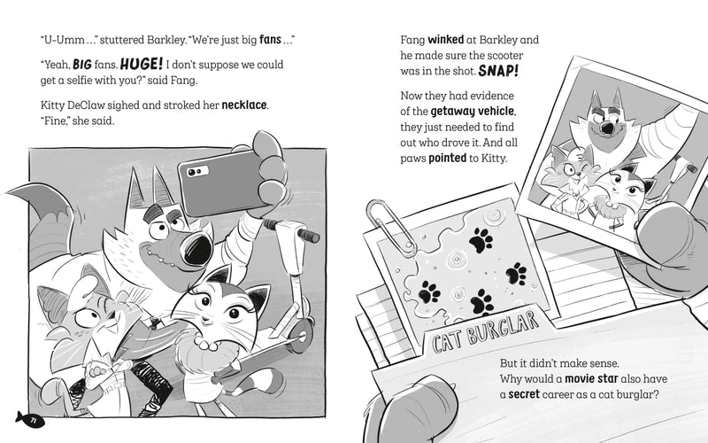 The Underdogs Catch a Cat Burglar US - Paperback / softback