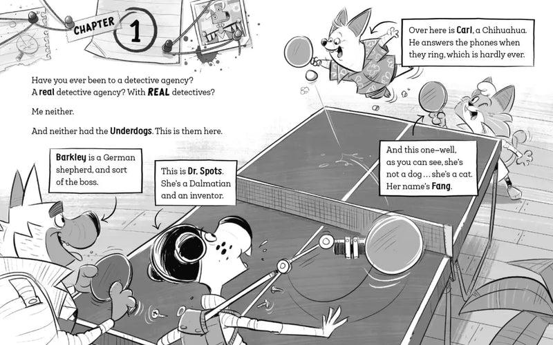 The Underdogs Fake It Till They Make It US - Paperback / softback