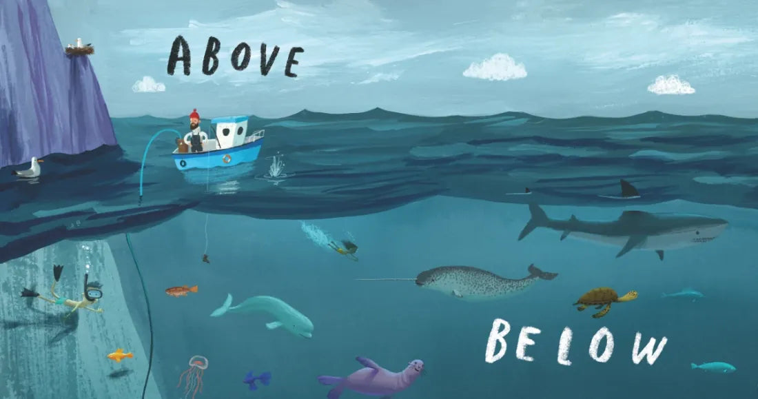 Here We Are: Book of Opposites US - Board book