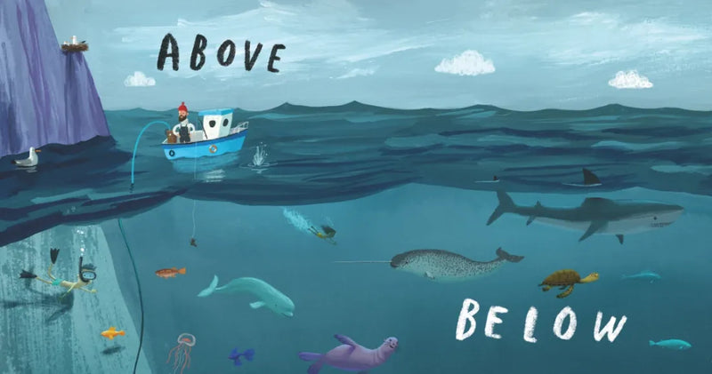 Here We Are: Book of Opposites US - Board book