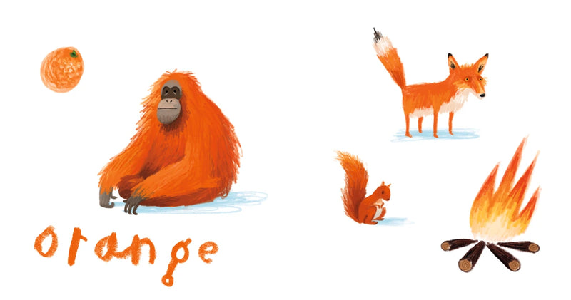 Here We Are: Book of Colors US - Board book