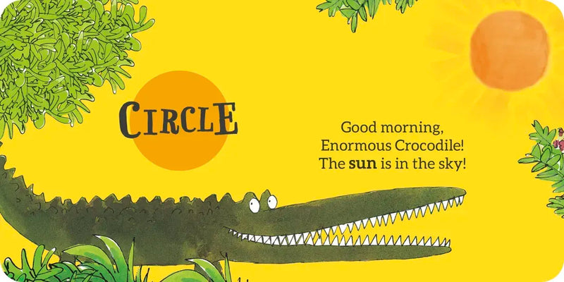 Roald Dahl Shapes US - Board book