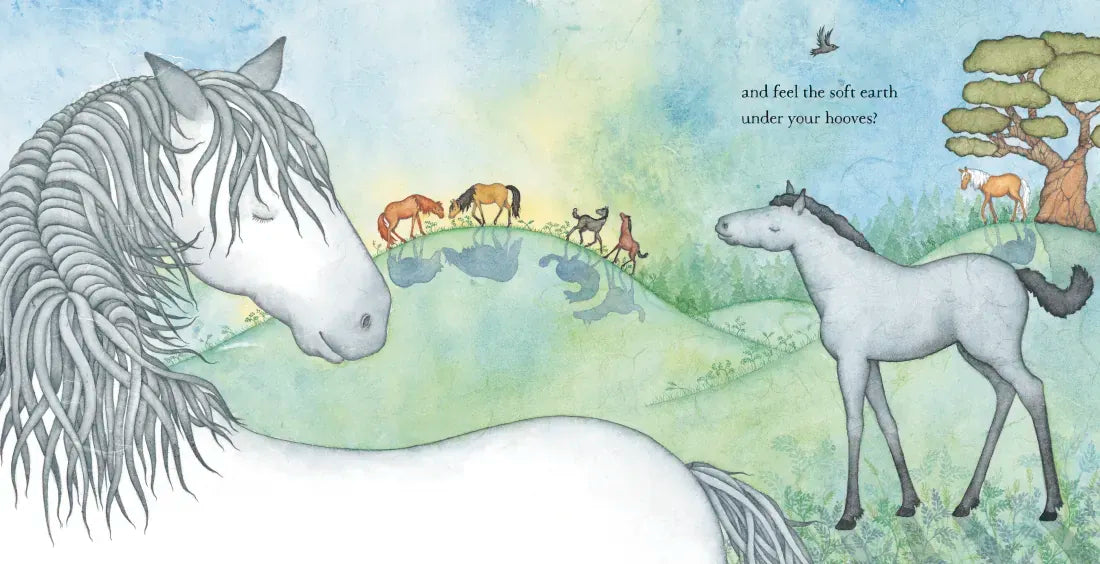 I Love You, Little Horse US - Hardback