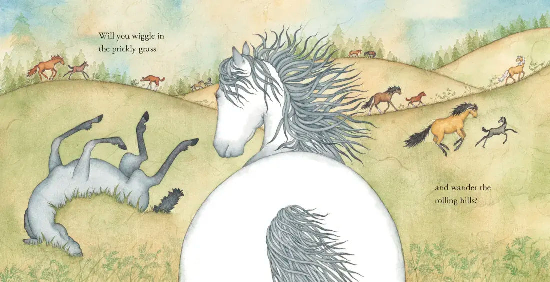 I Love You, Little Horse US - Hardback