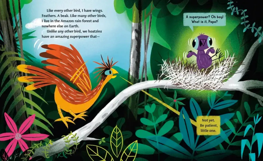 Stinkbird Has a Superpower US - Hardback