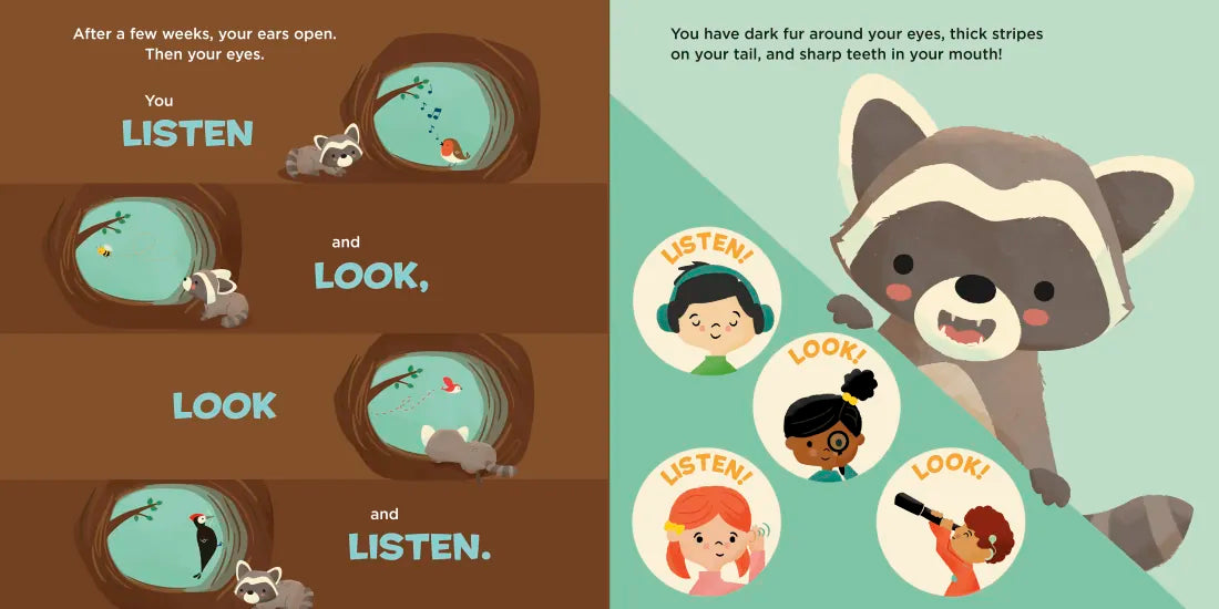 You Are a Raccoon! US - Hardback