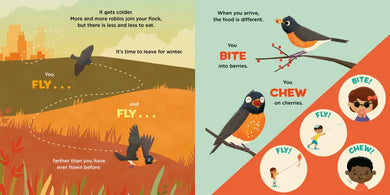 You Are a Robin! US - Hardback