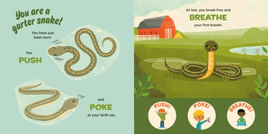 You Are a Garter Snake! US - Hardback