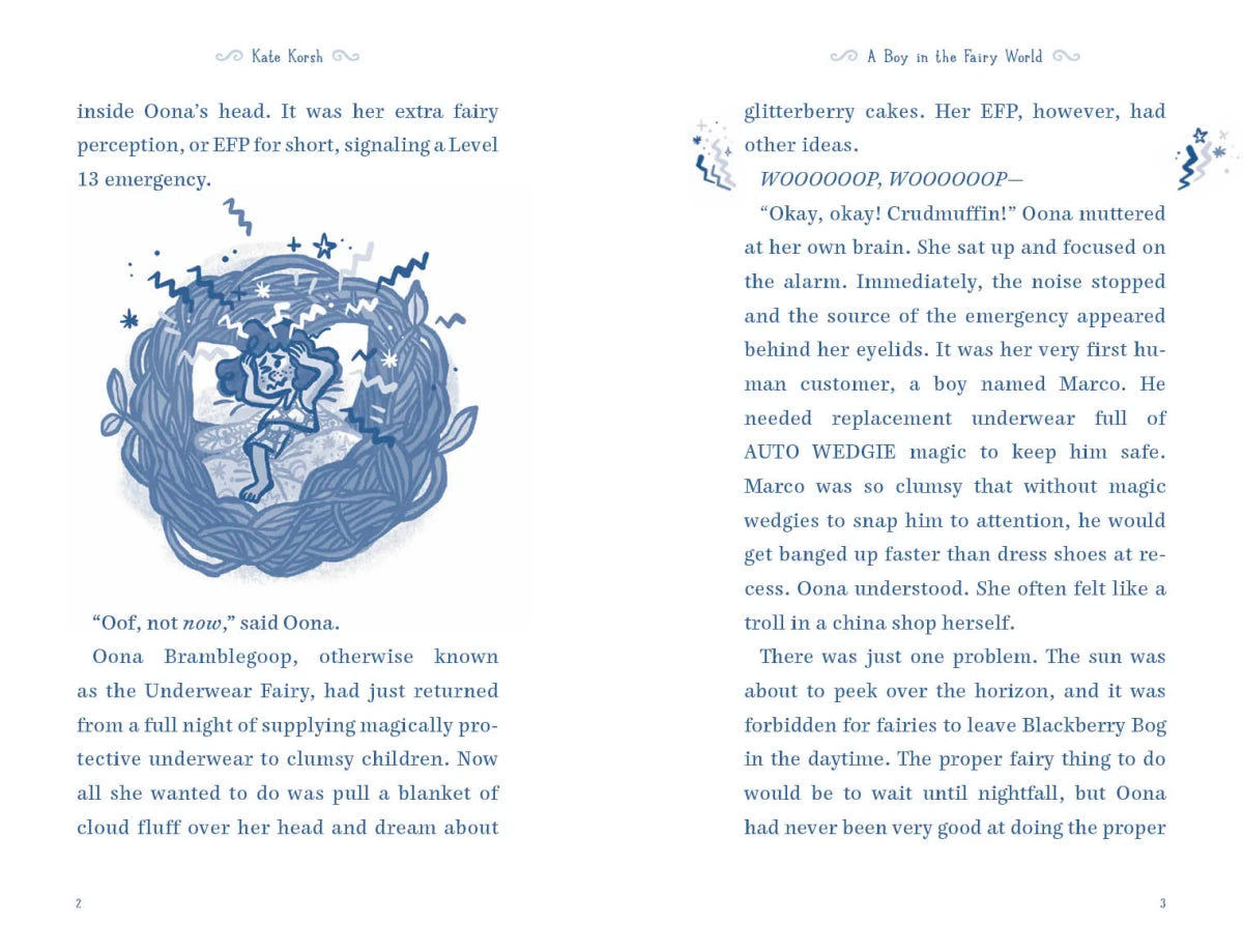 A Boy in the Fairy World US - Hardback