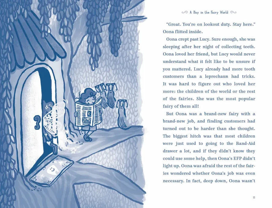 A Boy in the Fairy World US - Hardback
