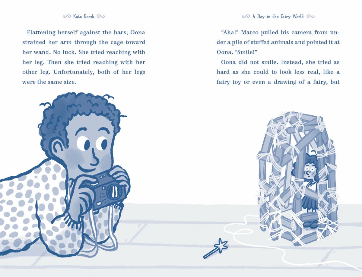 A Boy in the Fairy World US - Hardback