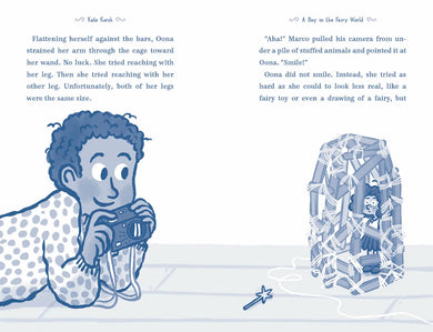 A Boy in the Fairy World US - Hardback