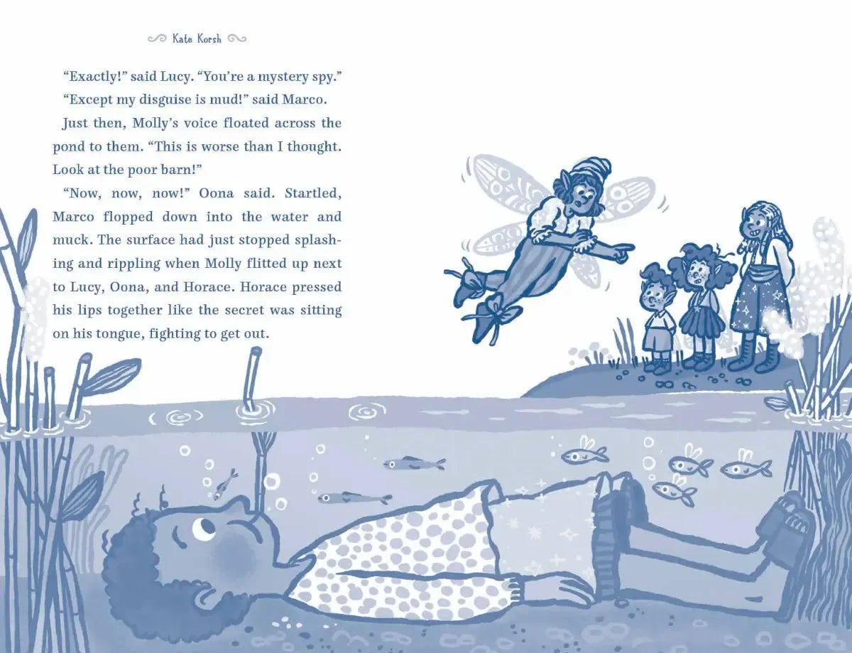 A Boy in the Fairy World US - Hardback