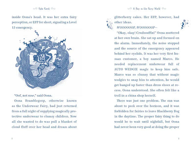 A Boy in the Fairy World US - Paperback / softback