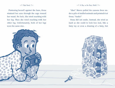 A Boy in the Fairy World US - Paperback / softback