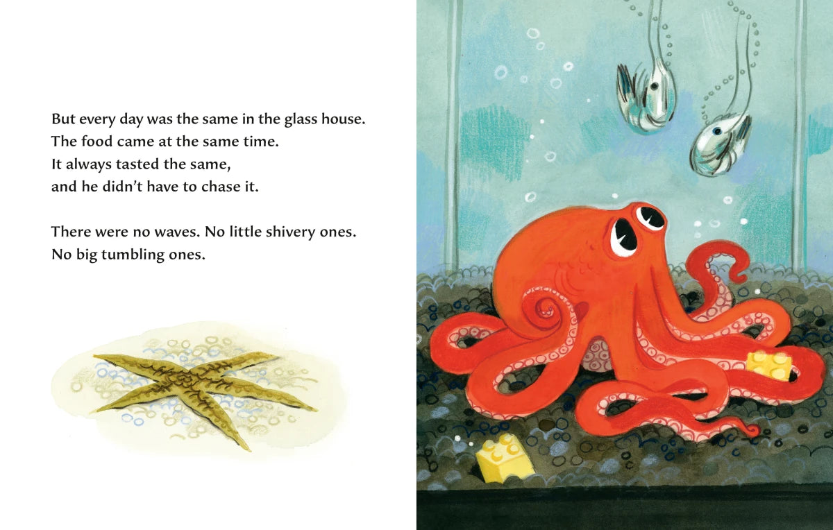 The Octopus Escapes US - Board book