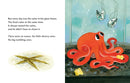 The Octopus Escapes US - Board book