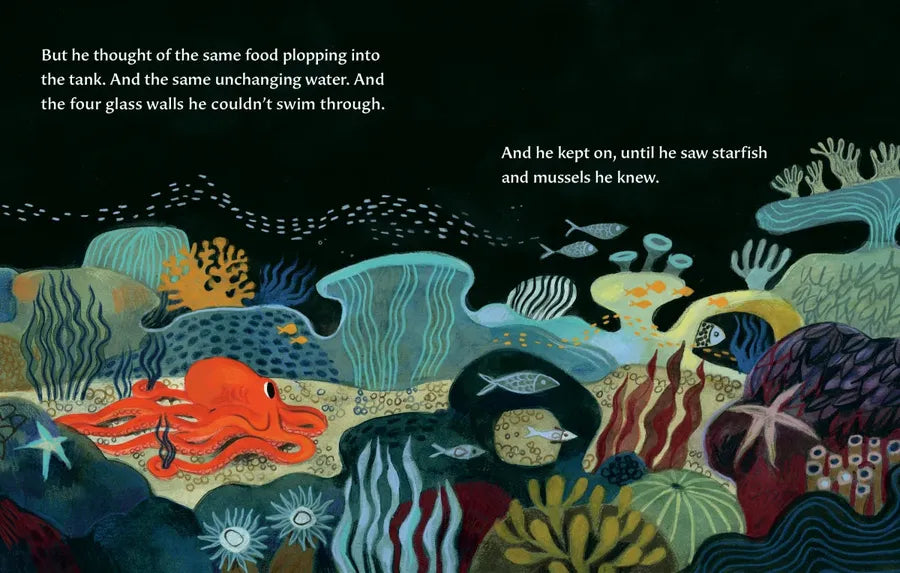The Octopus Escapes US - Board book
