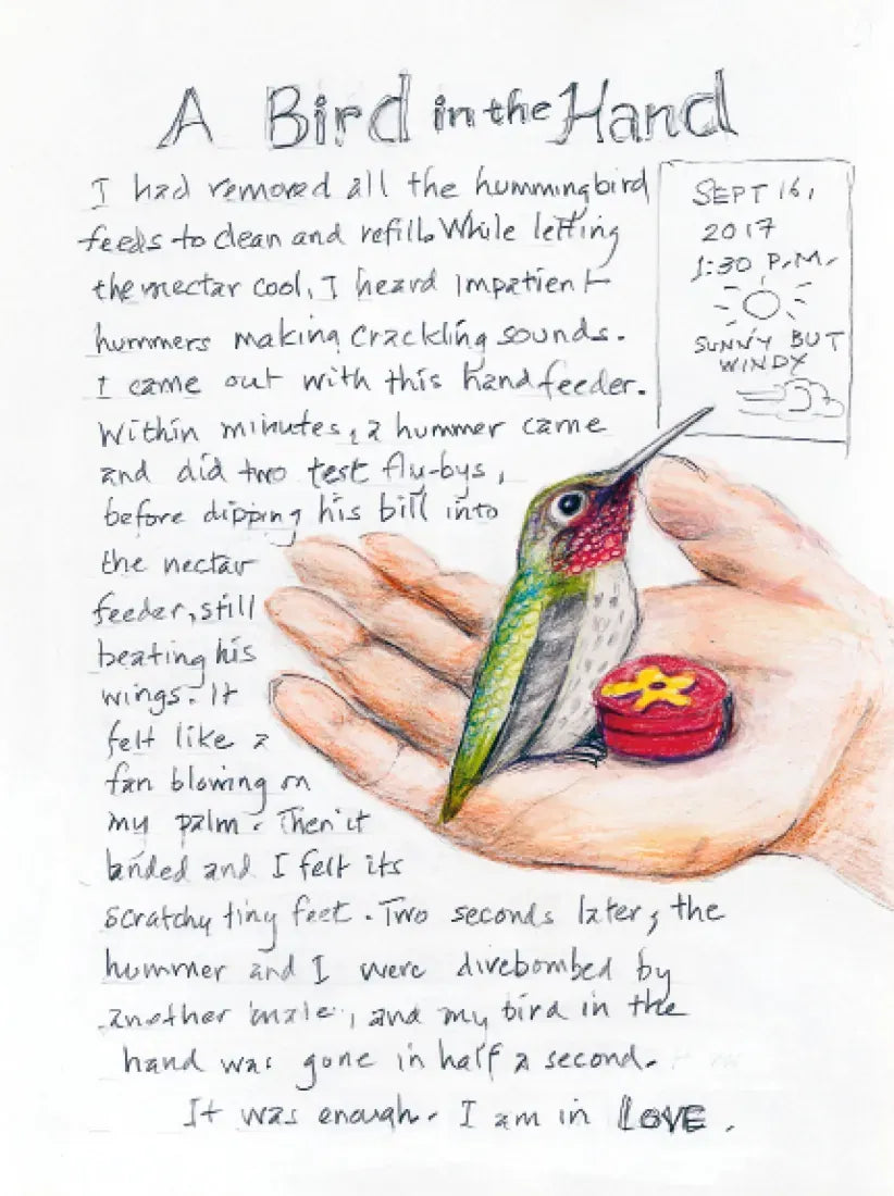 The Backyard Bird Chronicles US - Book