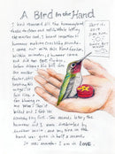 The Backyard Bird Chronicles US - Book