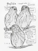 The Backyard Bird Chronicles US - Book