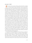 The Backyard Bird Chronicles US - Book