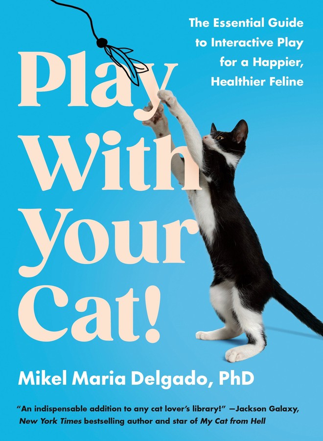 Play With Your Cat!-Domestic animals and pets-買書書 BuyBookBook