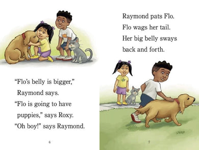 Ready? Set. Puppies! (Raymond and Roxy) US - Paperback / softback