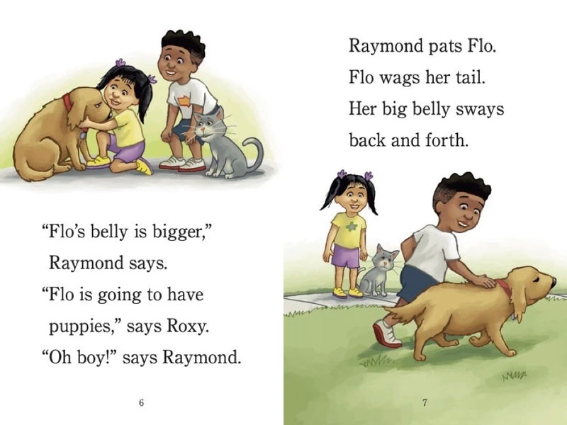 Ready? Set. Puppies! (Raymond and Roxy) US - Paperback / softback