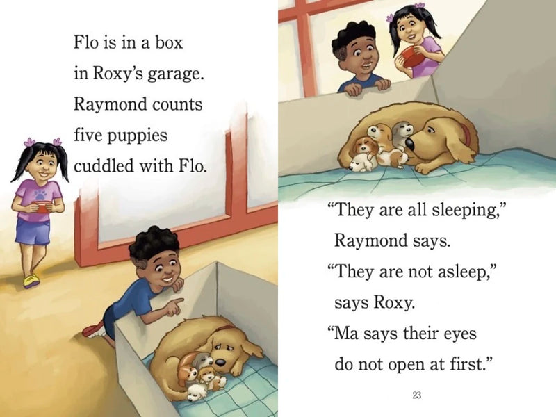 Ready? Set. Puppies! (Raymond and Roxy) US - Paperback / softback