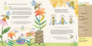 Hello, World! Kids' Guides: Exploring Insects US - Hardback