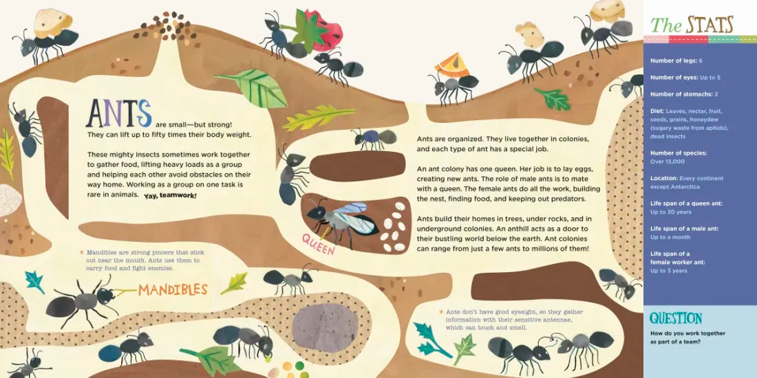 Hello, World! Kids' Guides: Exploring Insects US - Hardback