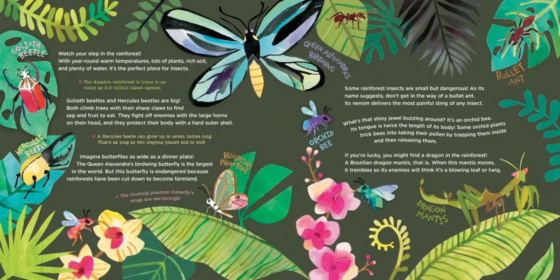 Hello, World! Kids' Guides: Exploring Insects US - Hardback