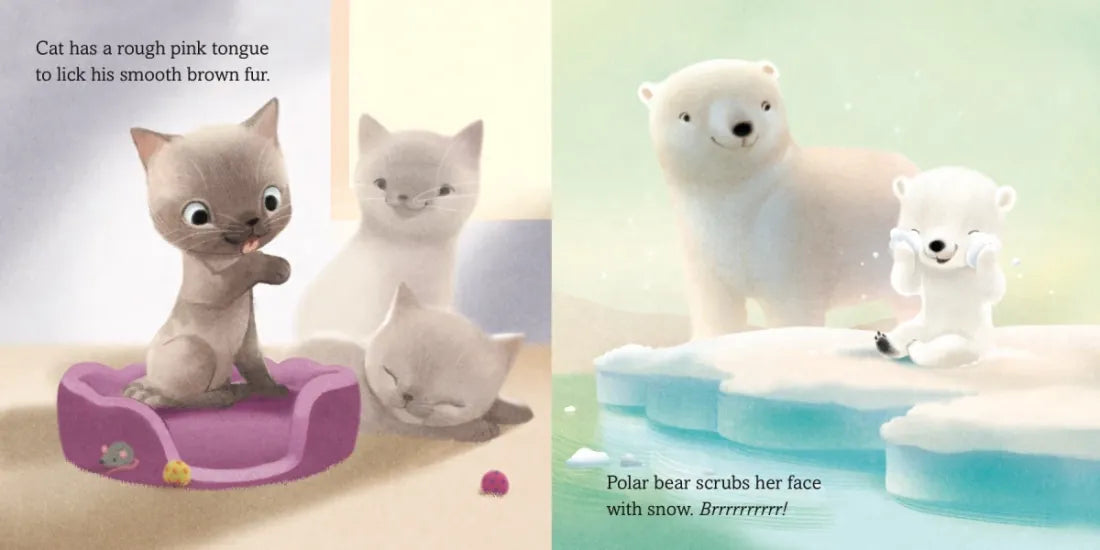 How Do You Take a Bath? US - Board book