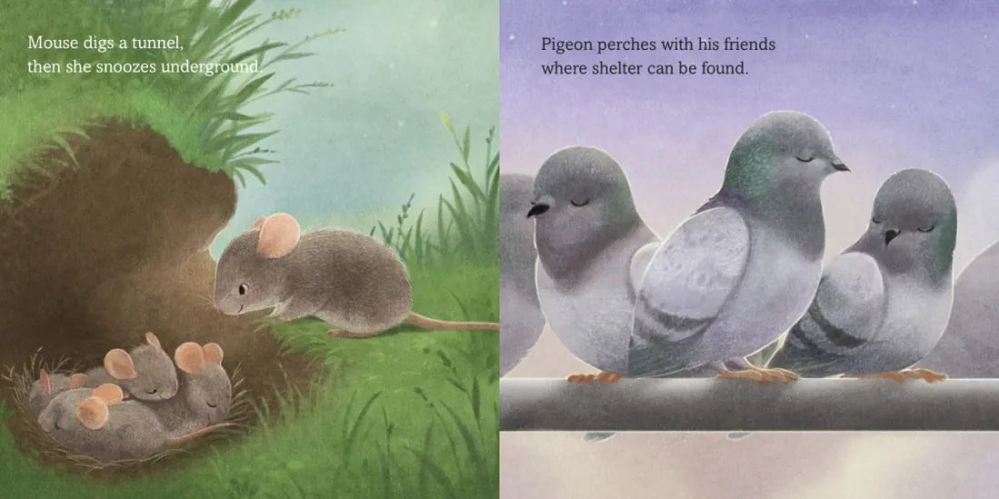 How Do You Go to Sleep? US - Board book