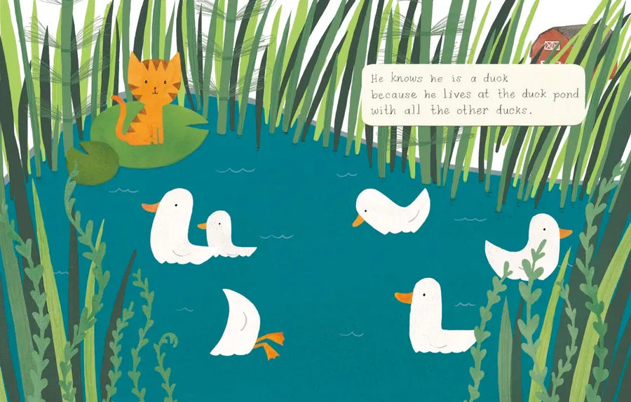 Quackers US - Board book