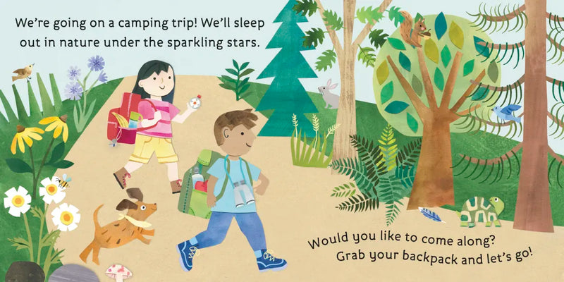 Hello, World! Let's Go Camping US - Board book